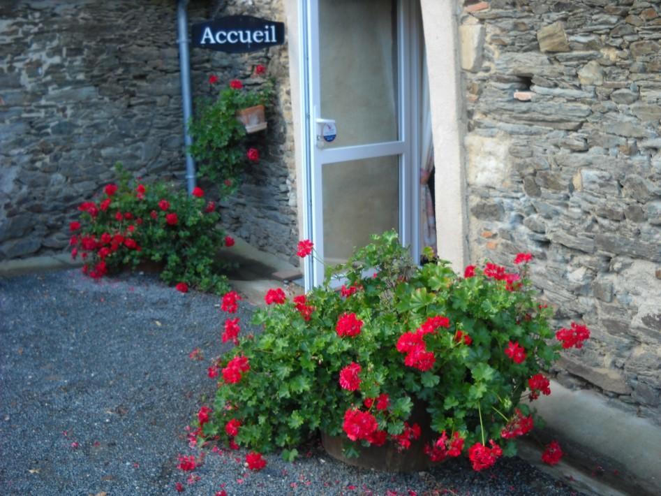 Domaine De La Cour Bed & Breakfast Sainte-Gemme-d'Andigne Exterior photo